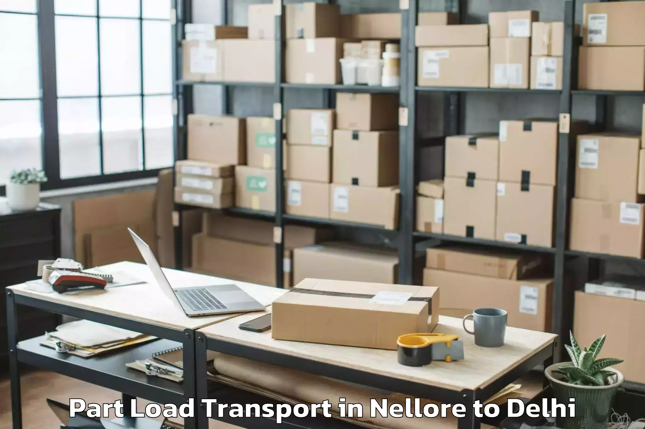 Book Nellore to City Centre Mall Dwarka Part Load Transport Online